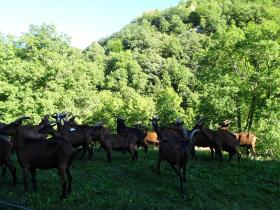 photo coins arrondis